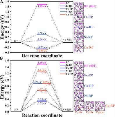 Transition metal anchored on red phosphorus to enable efficient photocatalytic H2 generation